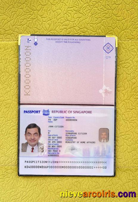 Singapore new passport (2017+)  photolook
